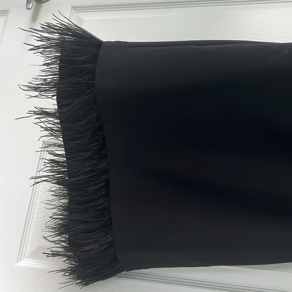 BN Black dress with feather/fringe at bottom - Picture 2 of 4